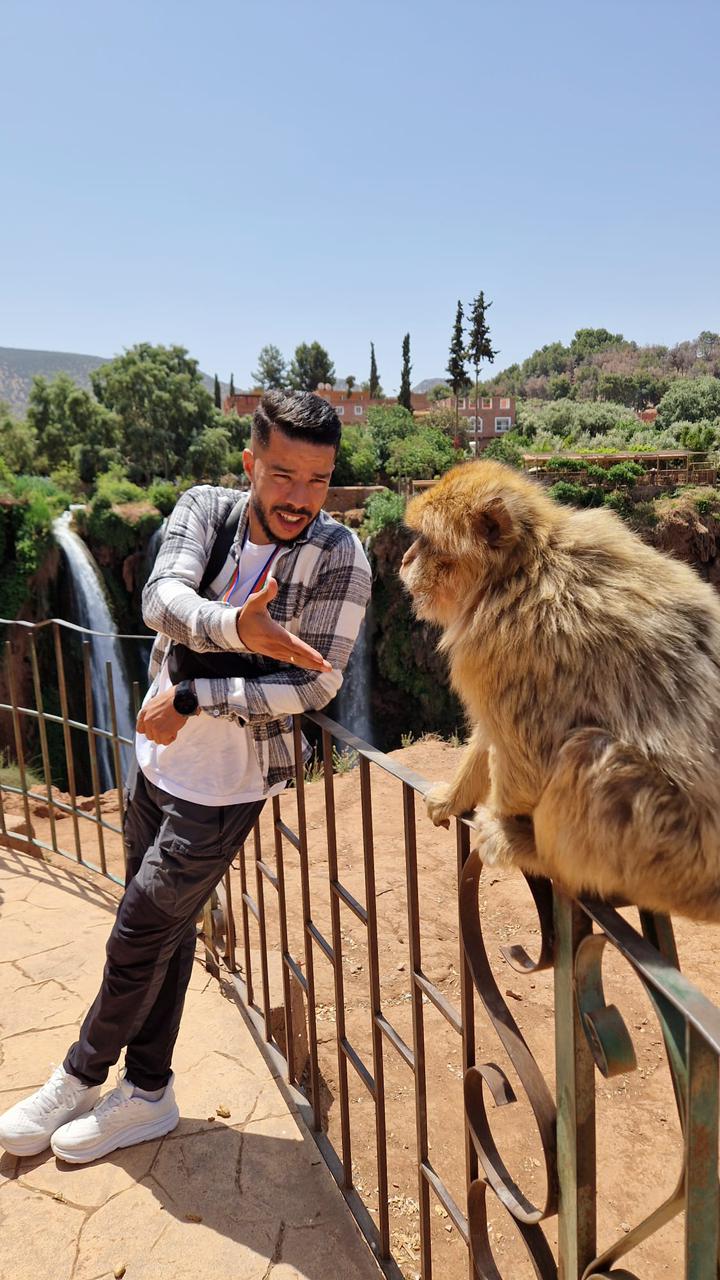 Marrakech market scene
